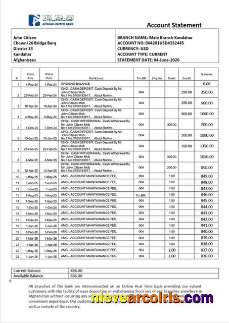 Professional Afghan United Bank Account Statement Word And PDF Template