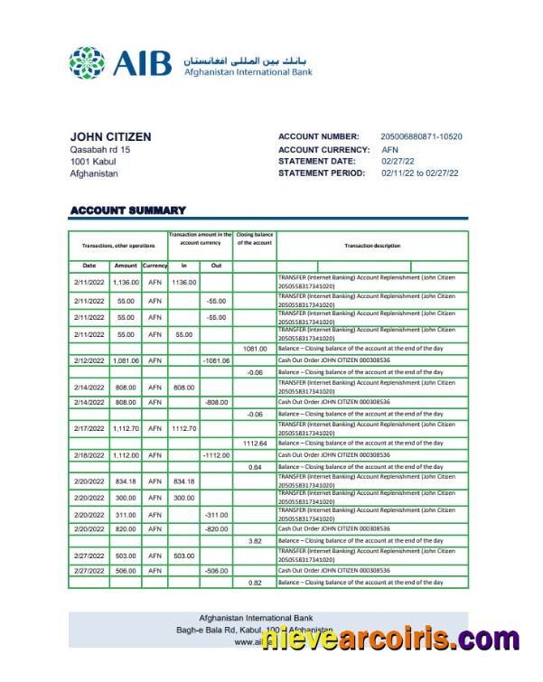 Premium Afghanistan International Bank (AIB) Bank Statement Template In Excel And PDF Format