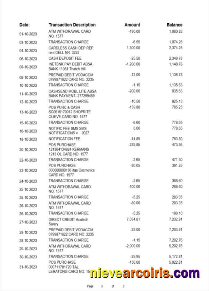 Premium Albania ProCreditBank Bank Statement Word And PDF Template, 3 Pages 2