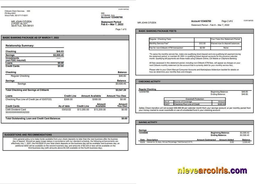 Australia Citibank Bank Statement Preview