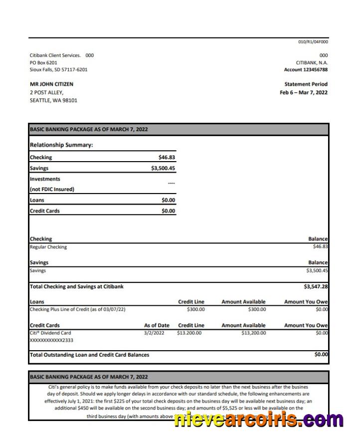 Australia Citibank Bank Statement Xls Sample