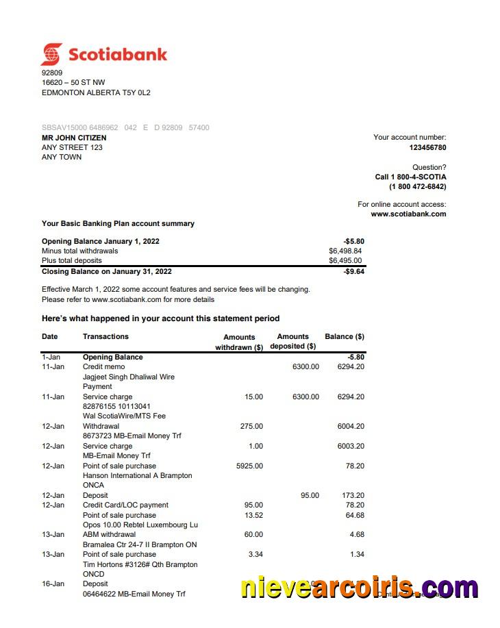Australia Scotiabank Statement 2 Pages Xls Preview