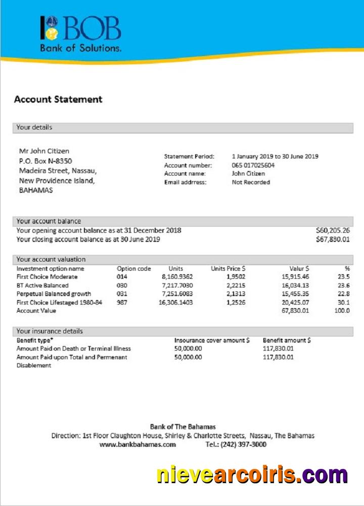 Bahamas Bank Of The Bahamas Bank Statement Preview