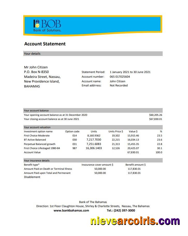 Realistic Bahamas Bank Of The Bahamas Bank Statement Easy To Fill Template In .xls And .pdf File Format