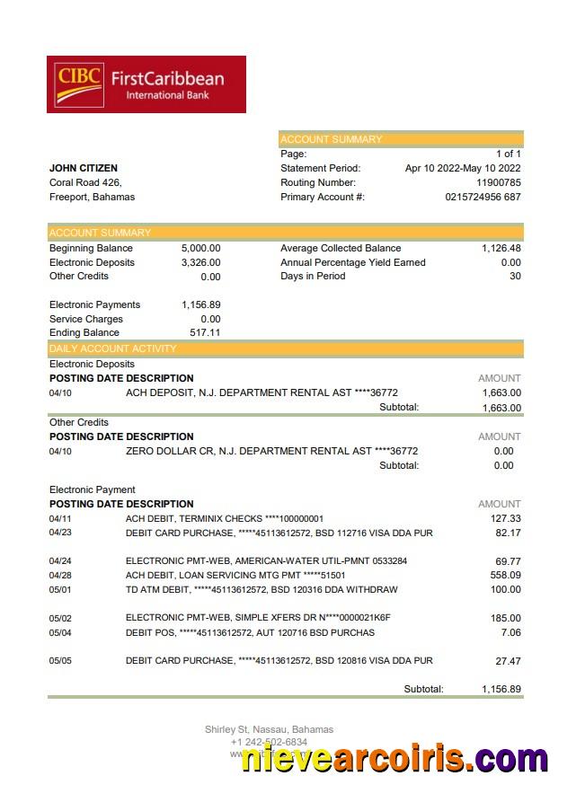 Bahamas FirstCaribbean International Bank Bank Statement Xls Preview