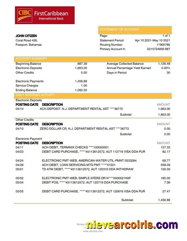 Bahamas FirstCaribbean International Bank Bank Statement Preview