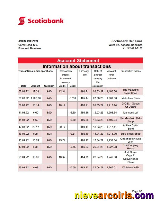 Bahamas Scotiabank Bank Statement Xls Preview