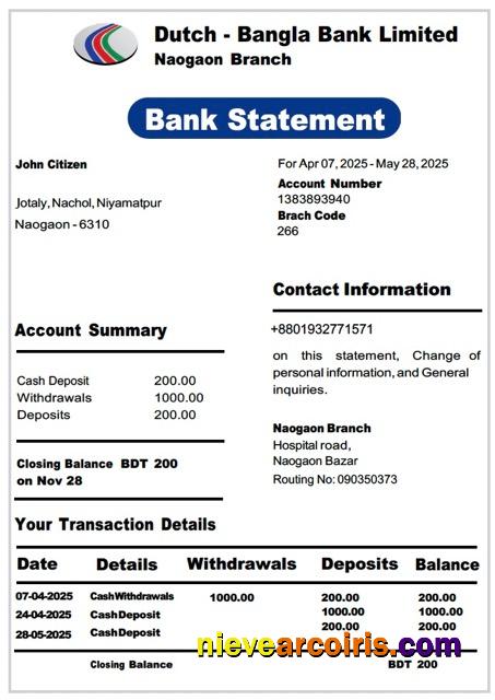Realistic Bangladesh Dutch Bangla Bank Limited Bank Statement Word And PDF Template
