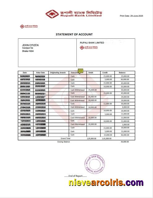 Realistic Bangladesh Rupali Bank Statement Of Account Word And PDF Template