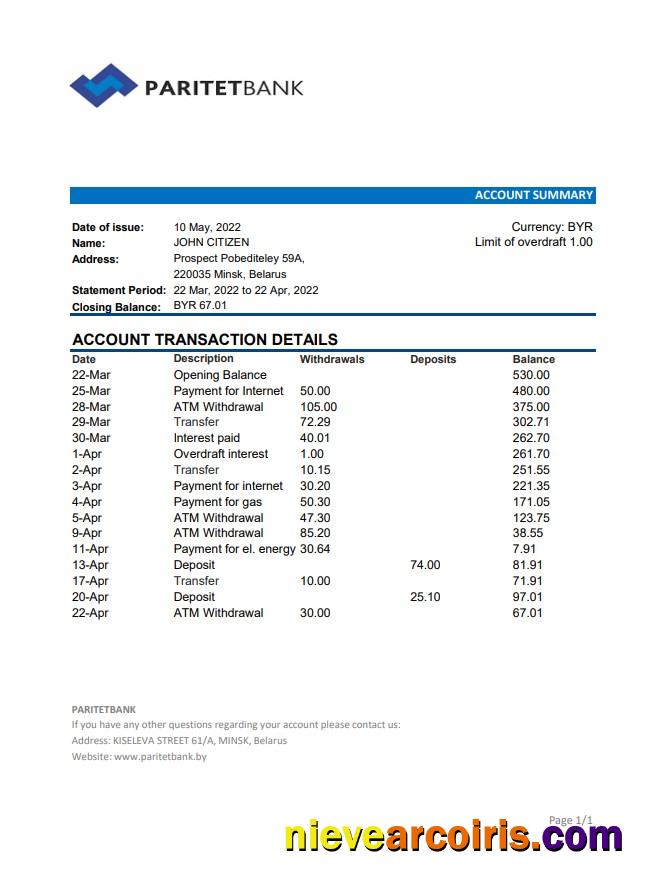 Belarus Paritet Bank Statement Xls Preview