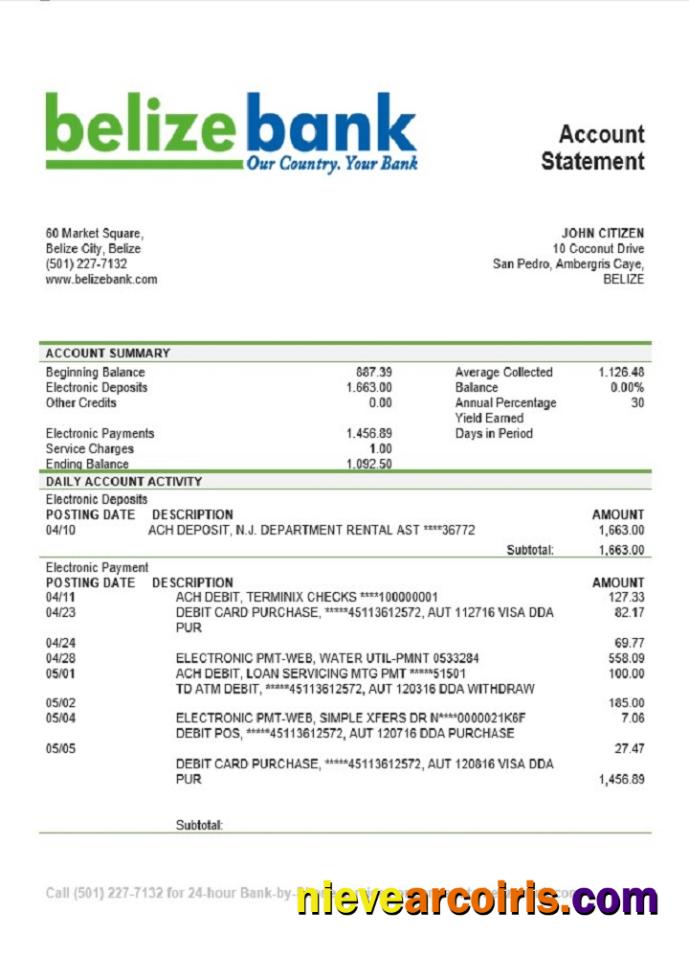 Belize Belizebank Bank Statement Preview