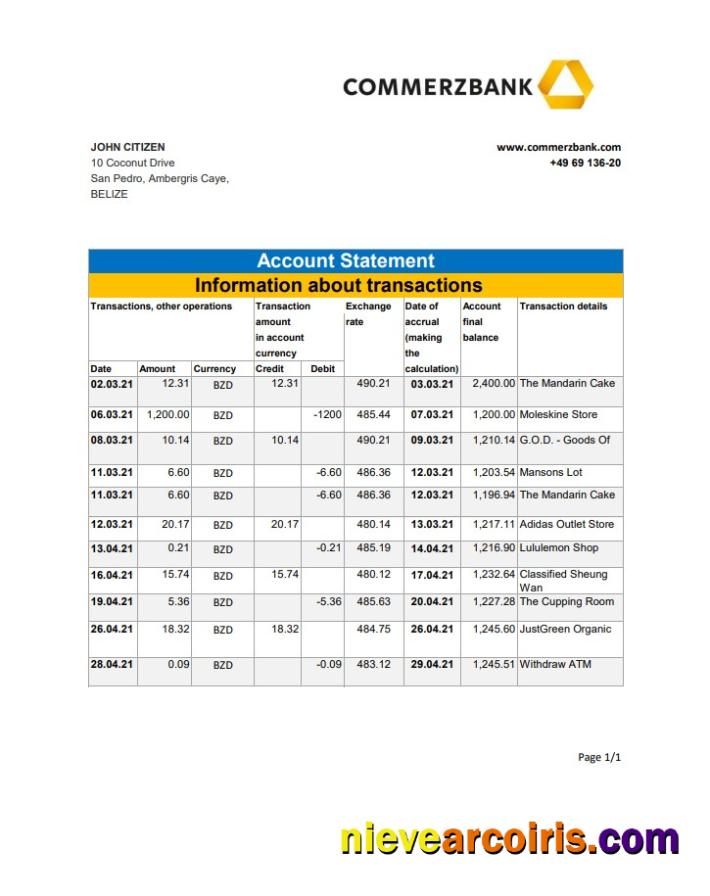 Realistic Belize Commerzbank Bank Statement Easy To Fill Template In Excel And PDF Format