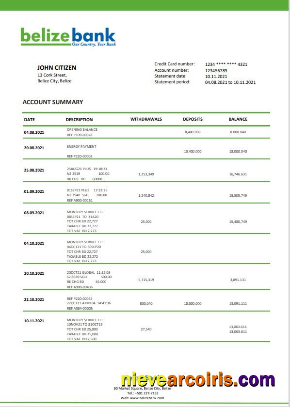 Editable Belize Bank Statement Template In Word And PDF Format, Fully Editable