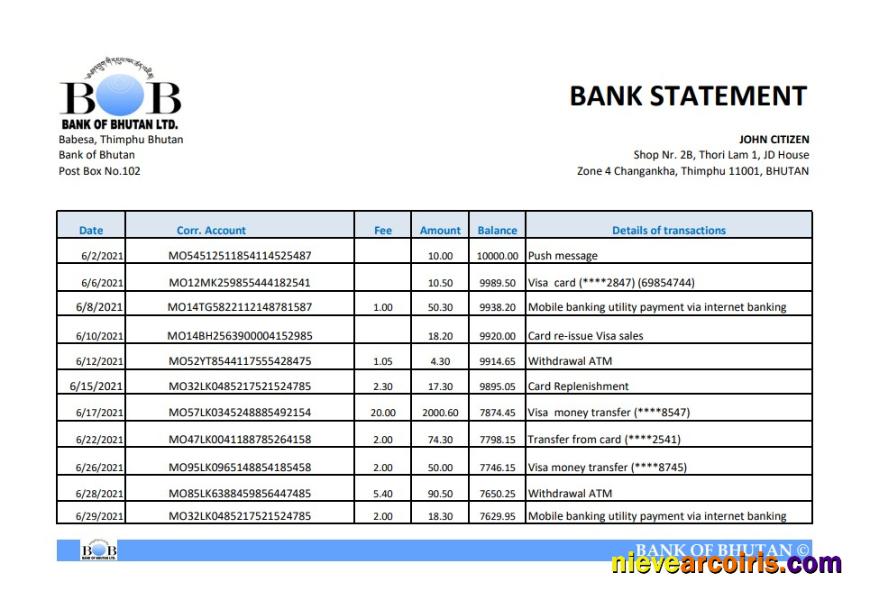 Realistic Bhutan Bank Of Bhutan Bank Statement Easy To Fill Template In Excel And PDF Format