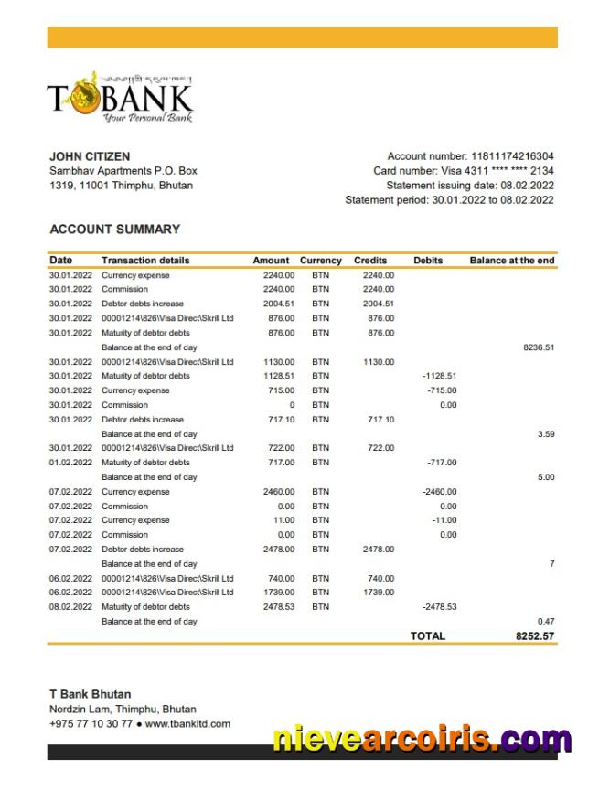 Bhutan T Bank Statement Xls Photolook