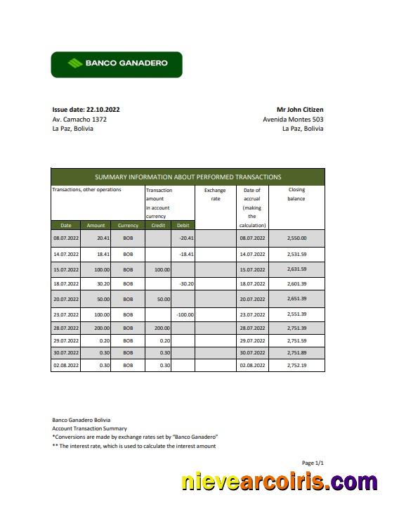 Premium Bolivia Banco Ganadero Bank Statement Template In Excel And PDF Format