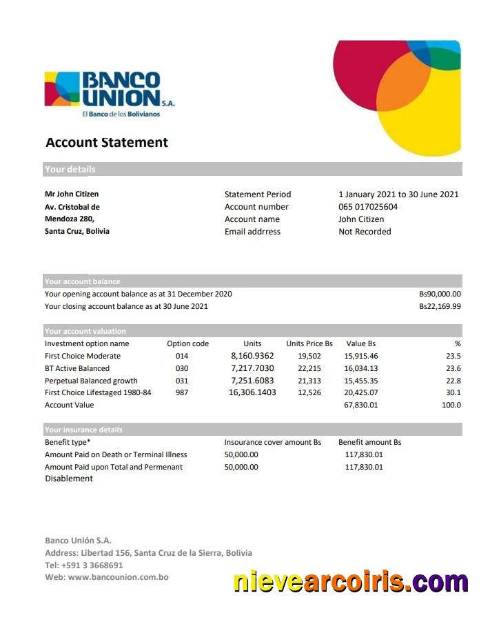 Professional Bolivia Banco Union Bank Statement Easy To Fill Template In Excel And PDF Format (AutoSum)