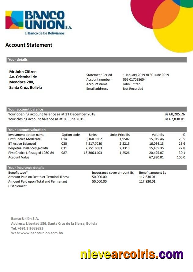 Bolivia Banco Union Bank Statement Photolook
