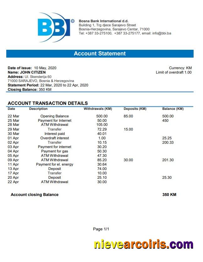 Bosnia And Herzegovina Bosna Bank International Bank Statement Preview