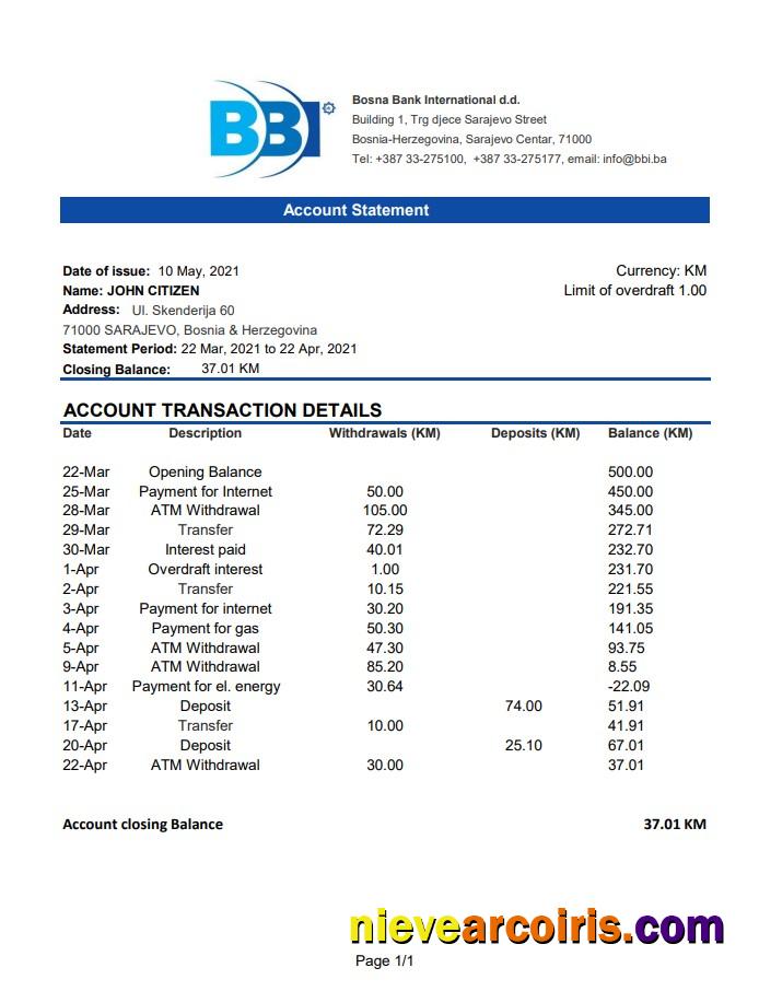 Professional Bosnia And Herzegovina Bosna Bank International Bank Statement Easy To Fill Template In Excel And PDF Format (AutoSum)