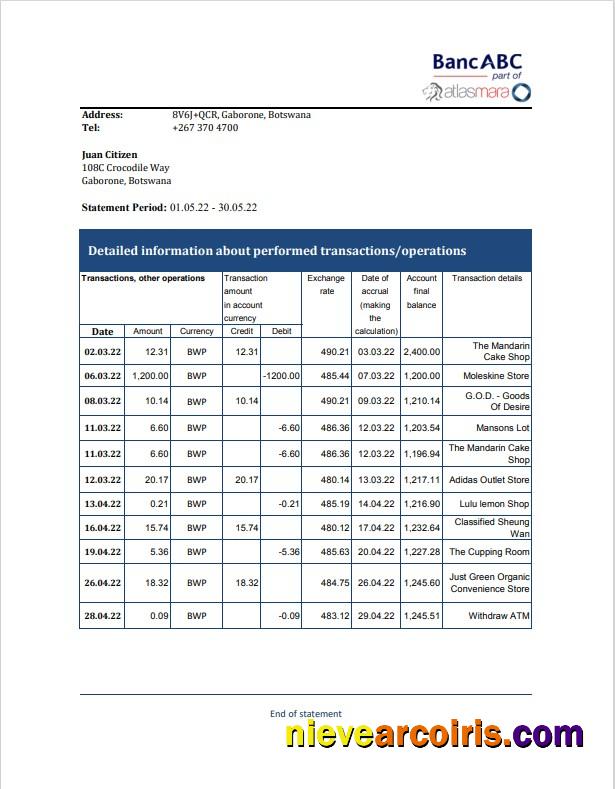 Premium Botswana Bank ABC Bank Statement Template, Excel And PDF Format