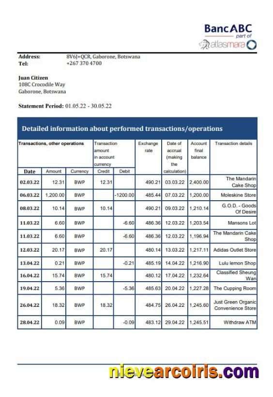 Botswana Bank ABC Bank Statement Sample