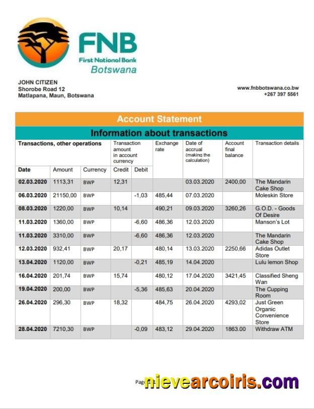 Botswana First National Bank Statement Preview