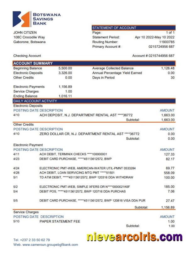 Botswana Savings Bank Statement Template