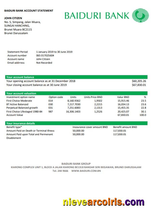 Brunei Baiduri Bank Statement Sample