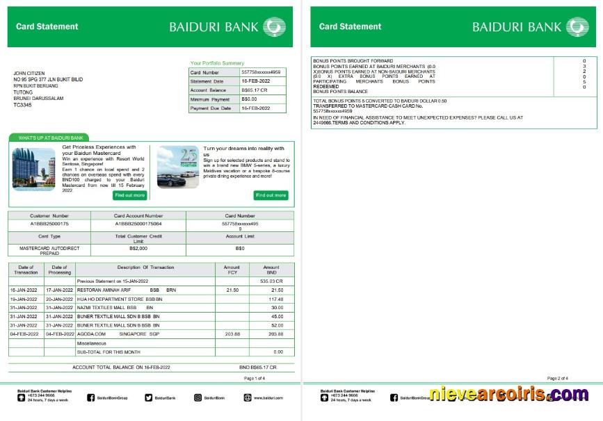 Brunei Baiduri Bank Card Statement Template