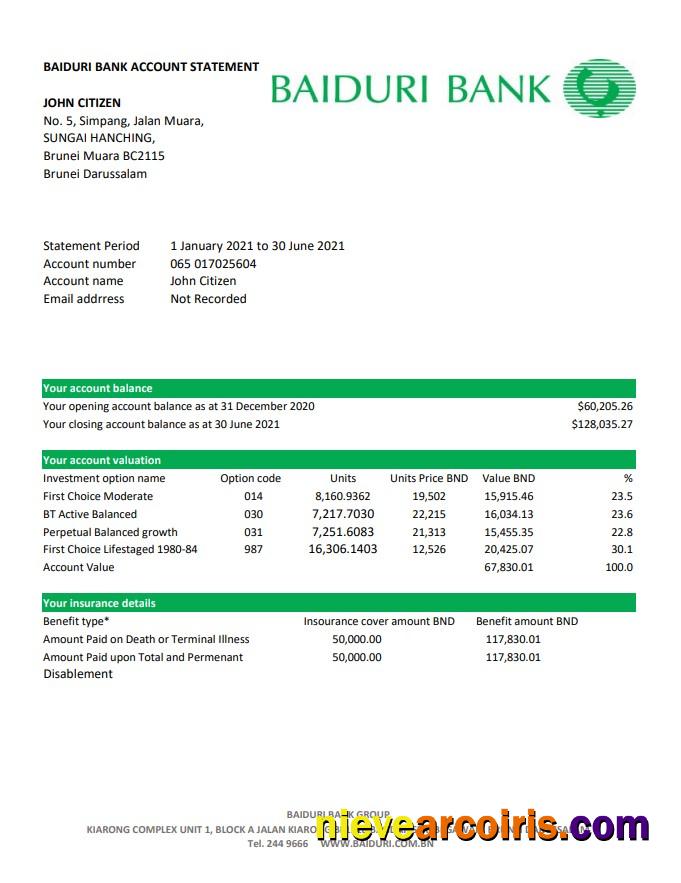 Premium Brunei Baiduri Bank Statement Easy To Fill Template In Excel And PDF Format (AutoSum)