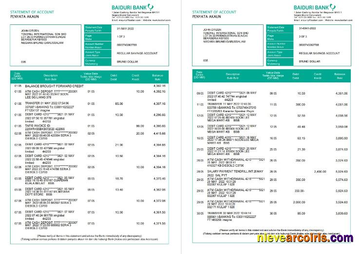 Editable Brunei Baiduri Bank Statement, Word And PDF Template, 3 Pages