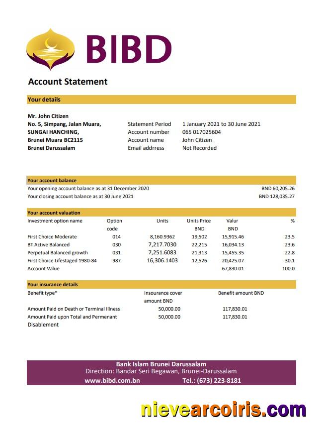 Editable Brunei Bank Islam Brunei Darussalam Bank Statement Easy To Fill Template In Excel And PDF Format (AutoSum)