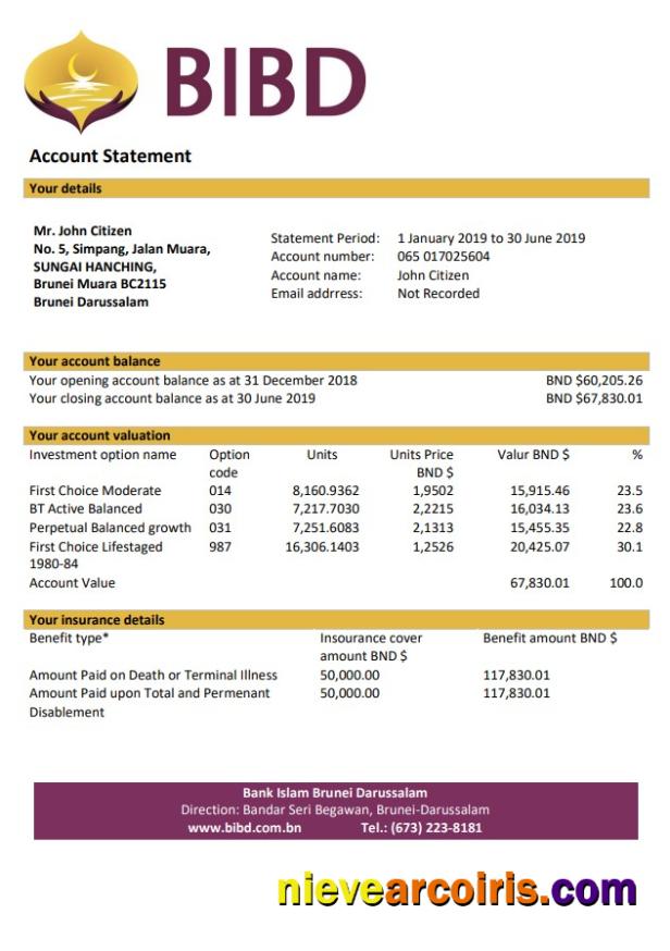 Premium Brunei Bank Islam Brunei Darussalam Bank Statement Template In Word And PDF Format