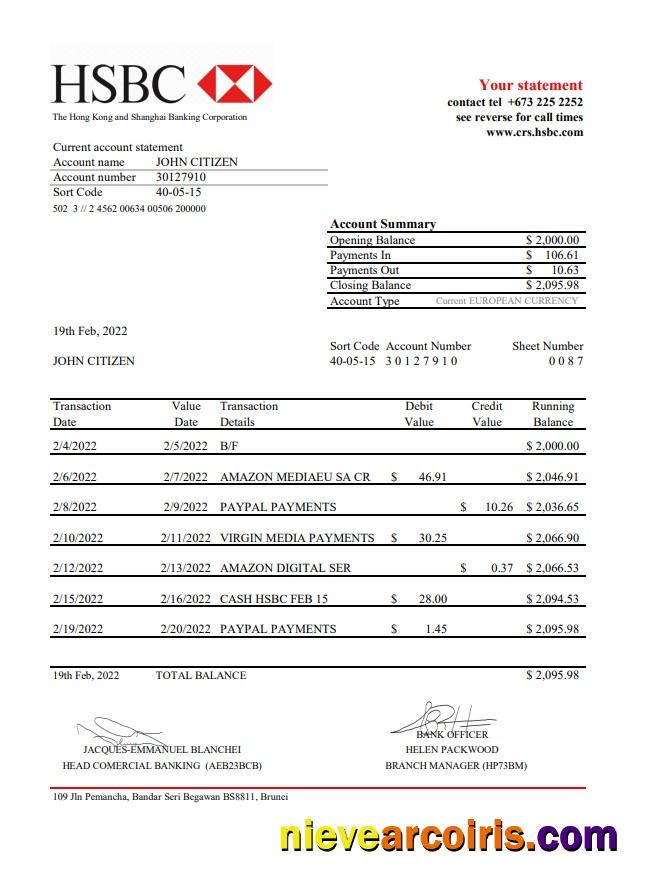 Brunei HSBC Bank Statement Template