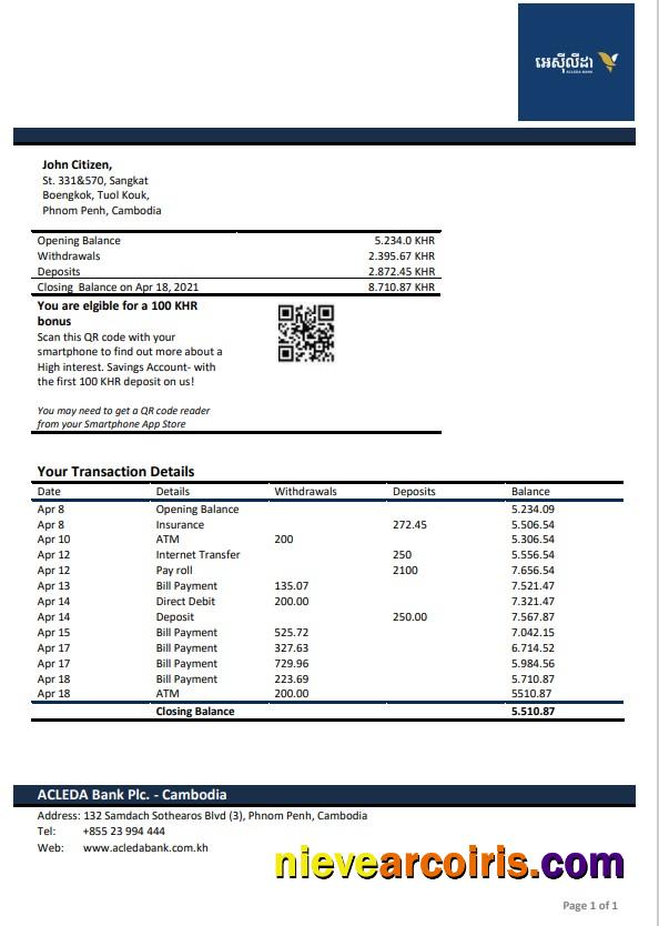 Professional Cambodia Acleda Bank Statement Word And PDF Template
