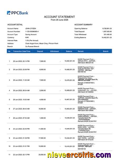 Premium Cambodia PPCBank Account Statement Word And PDF Template