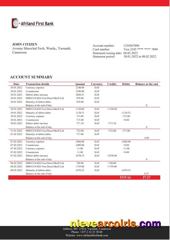 Editable Cameroon Afriland First Bank Statement Word And PDF Template
