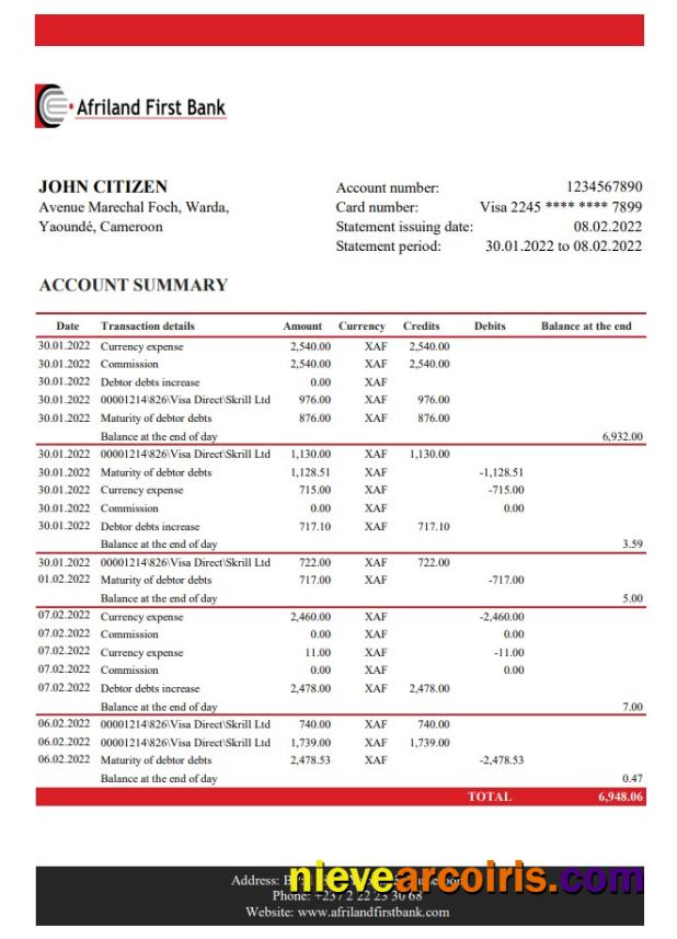 Cameroon Afriland First Bank Statement Sample