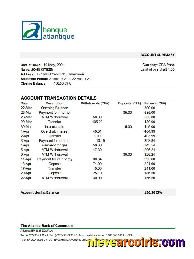 Cameroon Atlantic Bank Excel Template