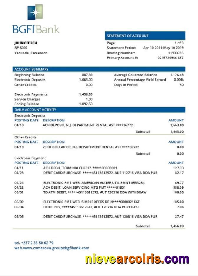 Editable Cameroon BGFI Bank Statement Template, Word And PDF Format