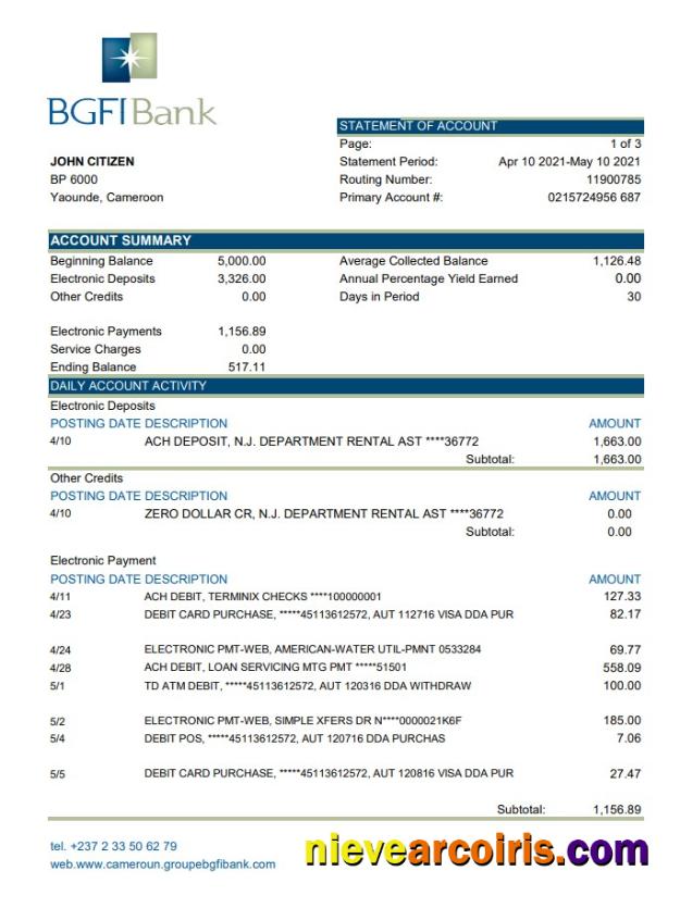 Realistic Cameroon BGFI Bank Statement Easy To Fill Template In Excel And PDF Format