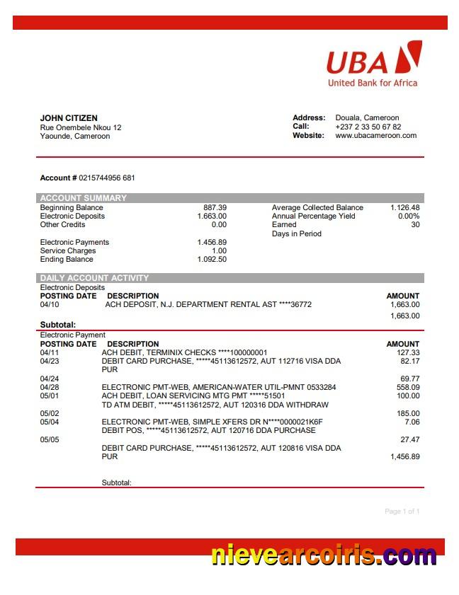 Cameroon UBA Bank Preview