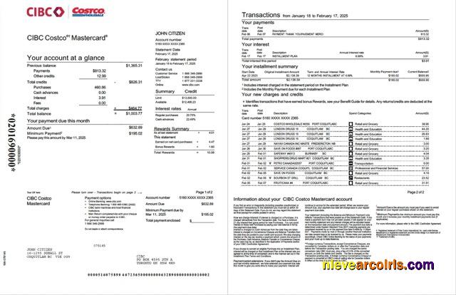 Realistic Canada CIBC Bank Account Statement Word And PDF Template, 2 Pages