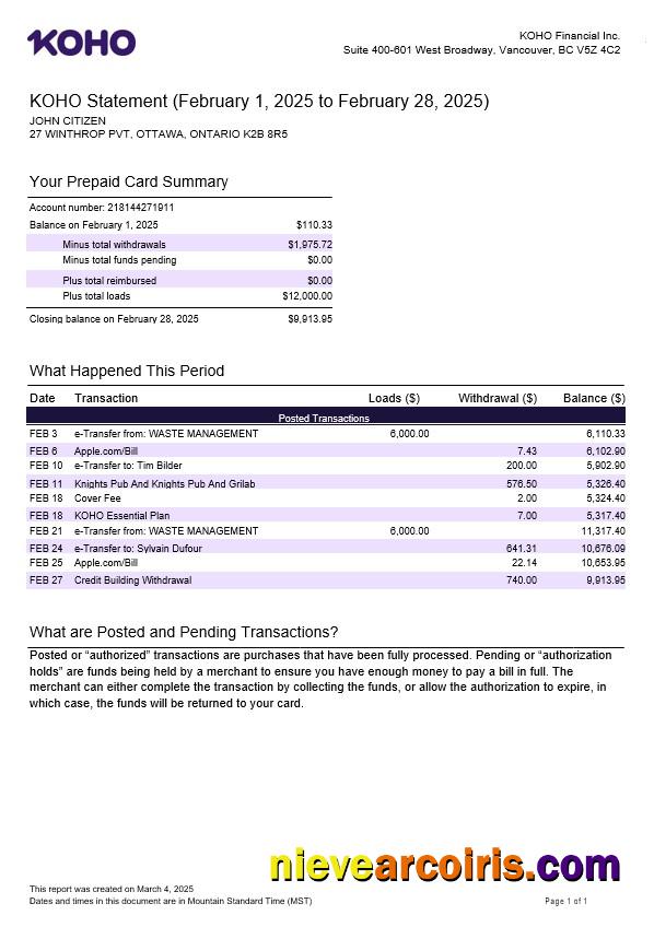 Editable Canada KOHO Financial Incorporated Statement Template In Word And PDF Formats