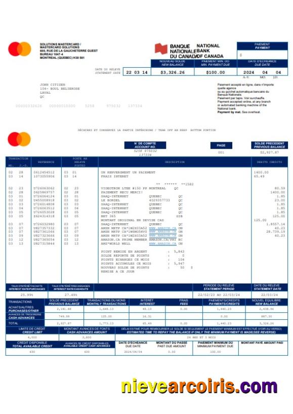 Premium Canada National Bank Of Canada Bank Statement Word And PDF Template