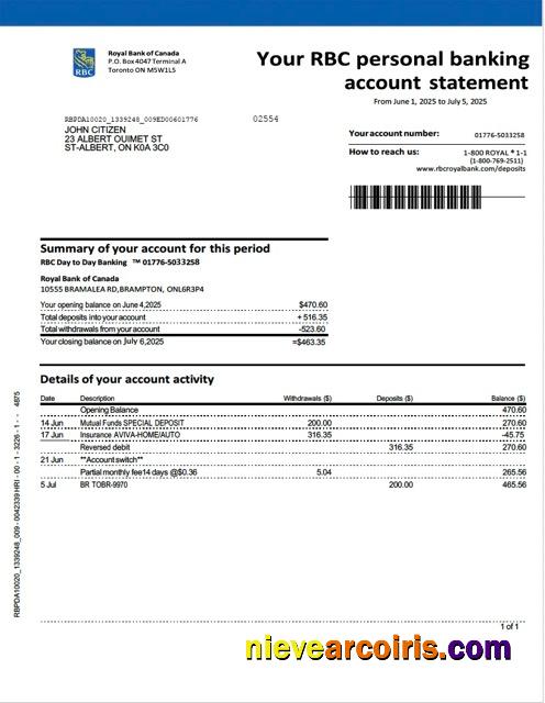 Professional Canada Royal Bank Of Canada Account Statement Word And PDF Template