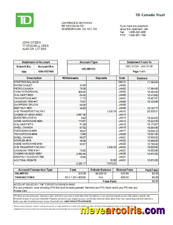 Premium Canada TD Canada Trust Bank Statement Template In Excel And PDF Formats