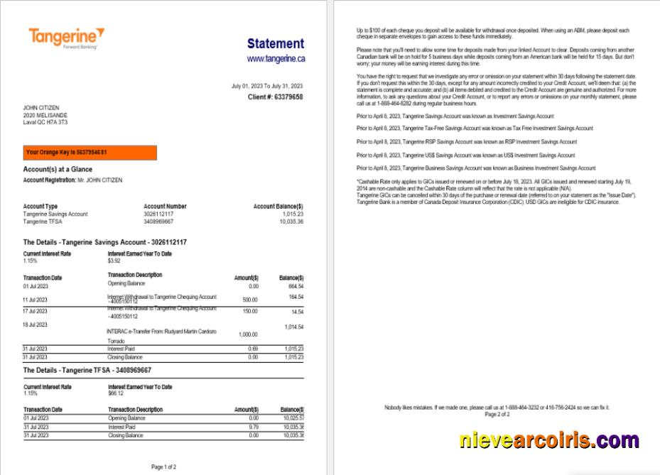 Premium Canada Tangerine Bank Statement Word And PDF Template