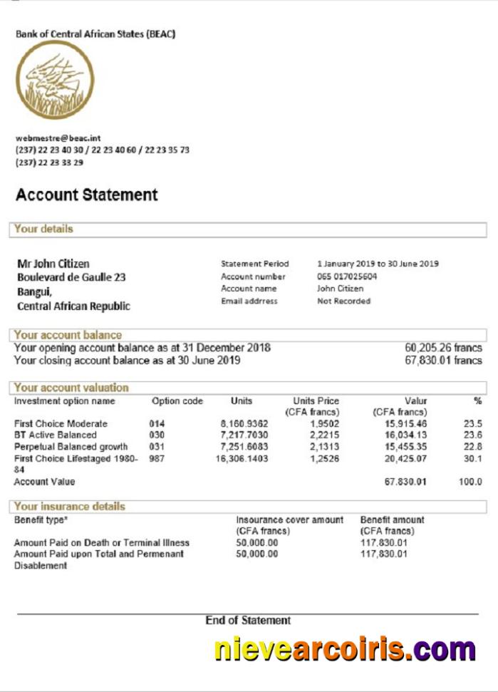 Professional Central African Republic Bank Of Central African States (BEAC) Bank Statement Template